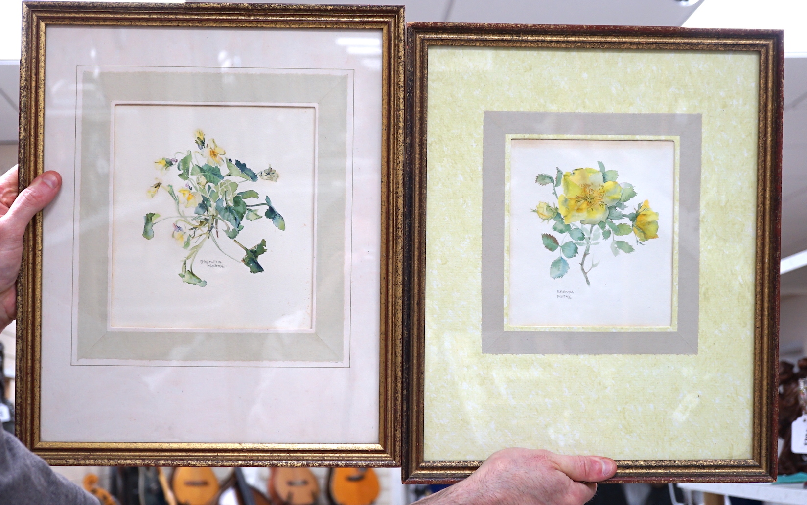 Brenda Moore (1909-1995), two watercolours, 'Single yellow rose' and 'Yellow violet', signed, 16 x 14.5cm and 19 x 17cm